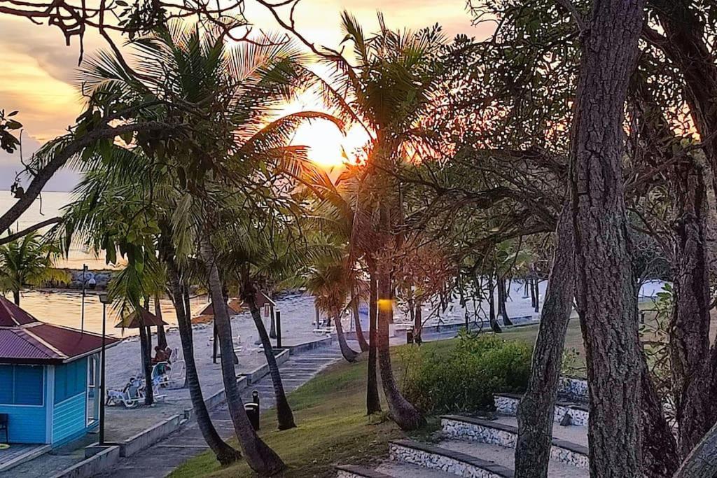 Studio Vue Mer Guadeloupe Сен-Ан Екстериор снимка